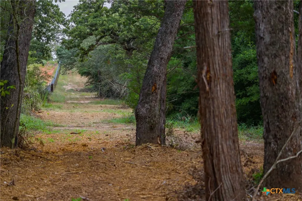 Stiewert Lane Paige, TX 78659