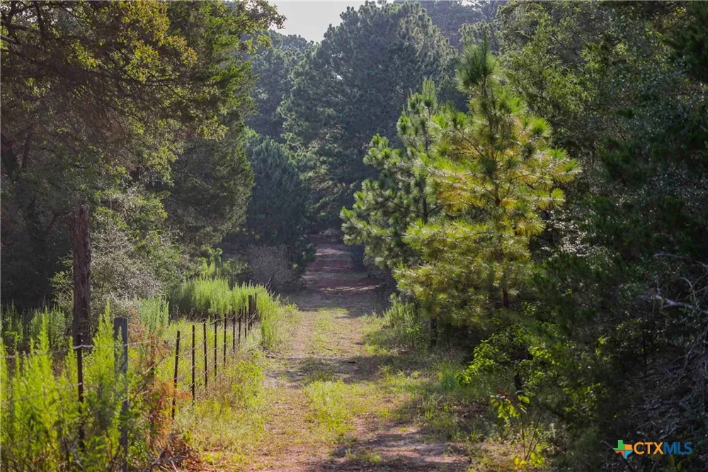 Stiewert Lane Paige, TX 78659