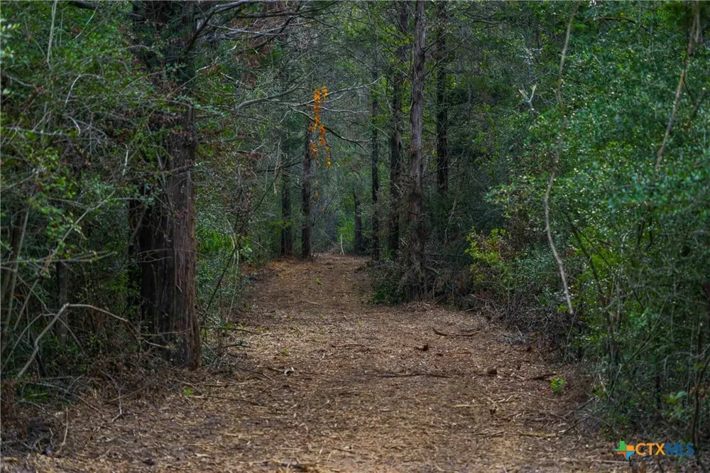 Stiewert Lane Paige, TX 78659