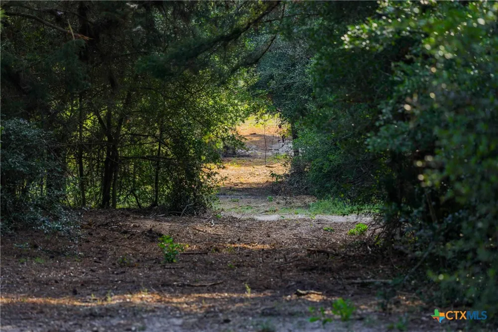 Stiewert Lane Paige, TX 78659