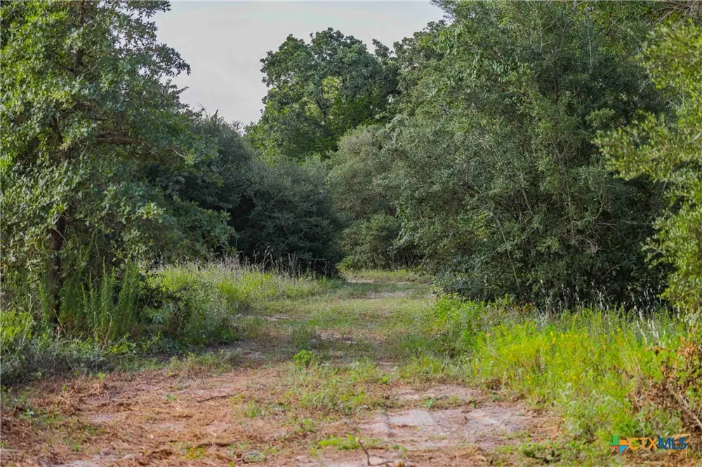 Stiewert Lane Paige, TX 78659