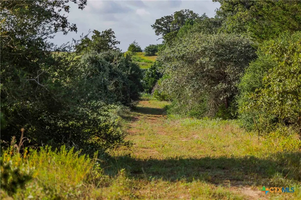 Stiewert Lane Paige, TX 78659