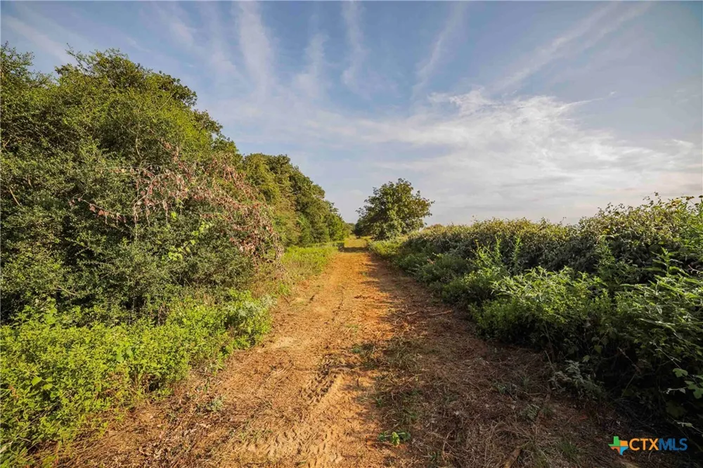 Stiewert Lane Paige, TX 78659