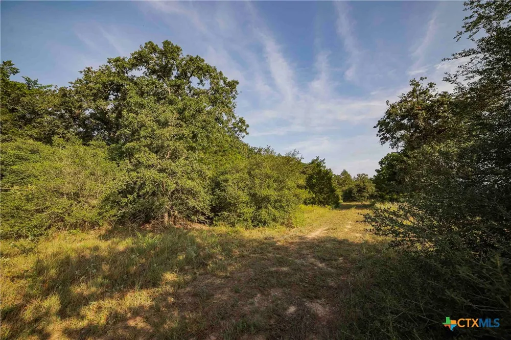 Stiewert Lane Paige, TX 78659