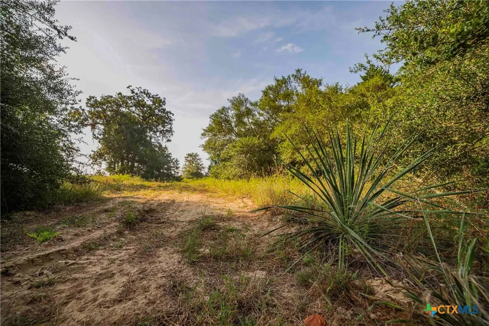 Stiewert Lane Paige, TX 78659