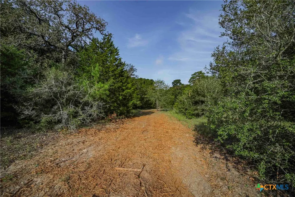Stiewert Lane Paige, TX 78659