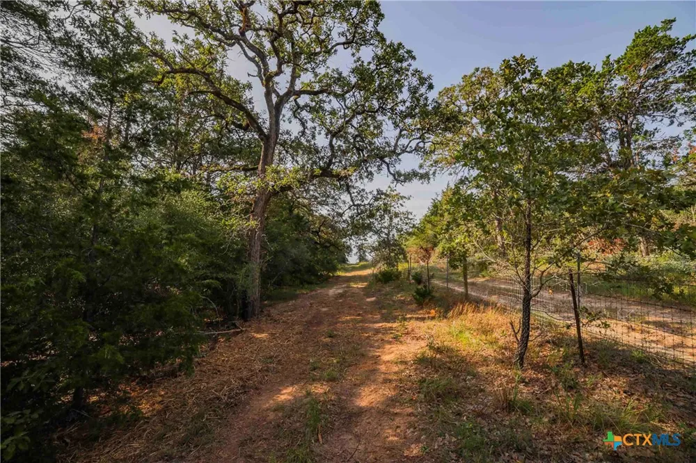 Stiewert Lane Paige, TX 78659