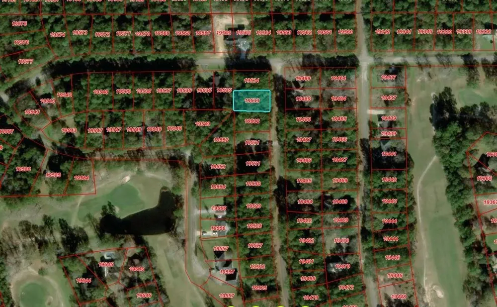 W Wildwood Drive Village Mills, TX 77663