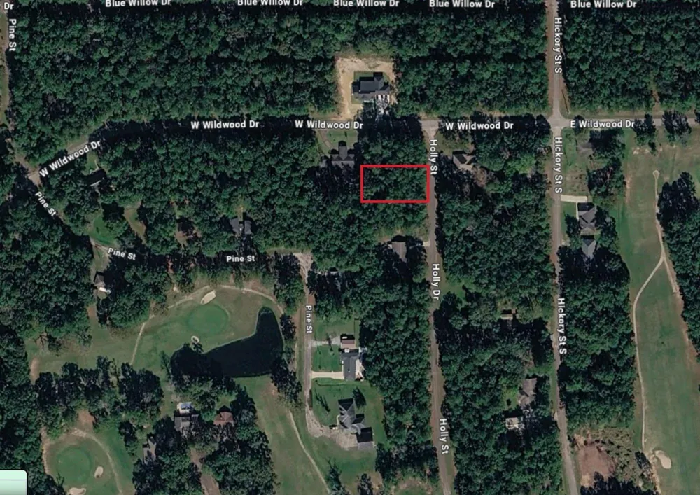 W Wildwood Drive Village Mills, TX 77663