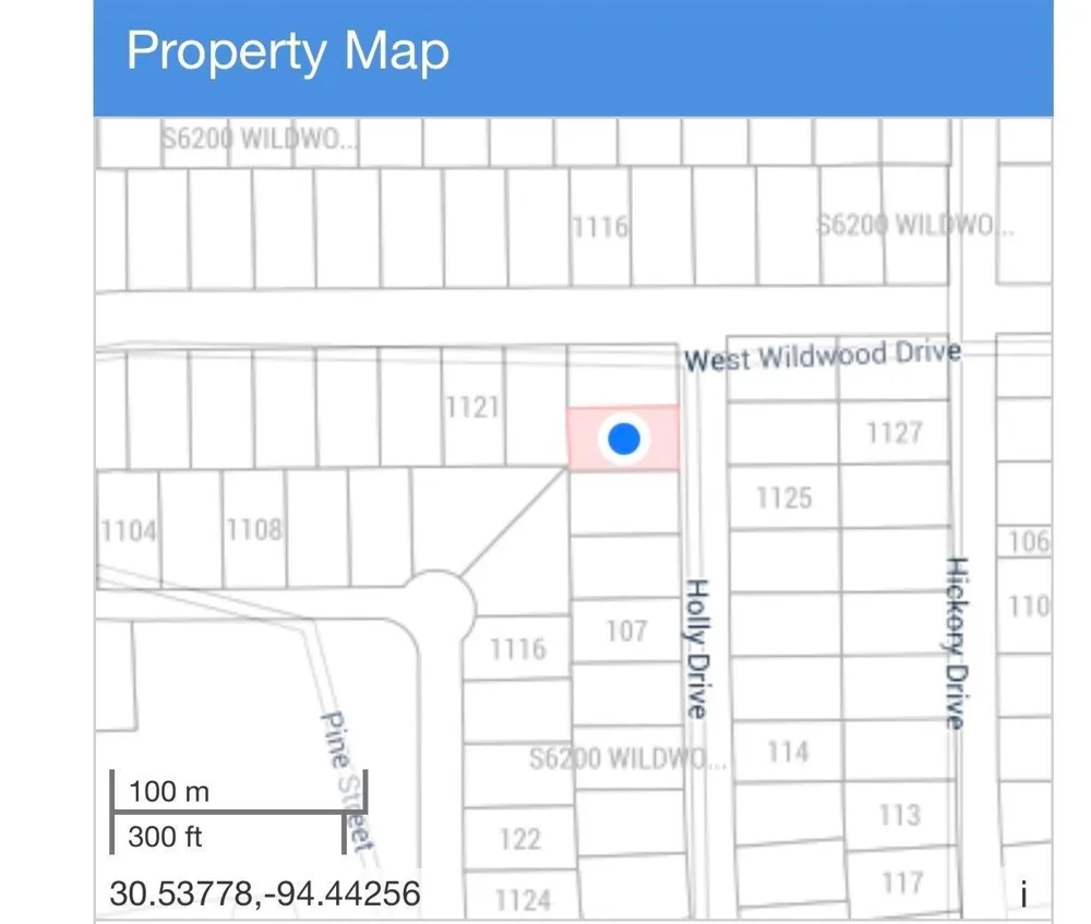 W Wildwood Drive Village Mills, TX 77663