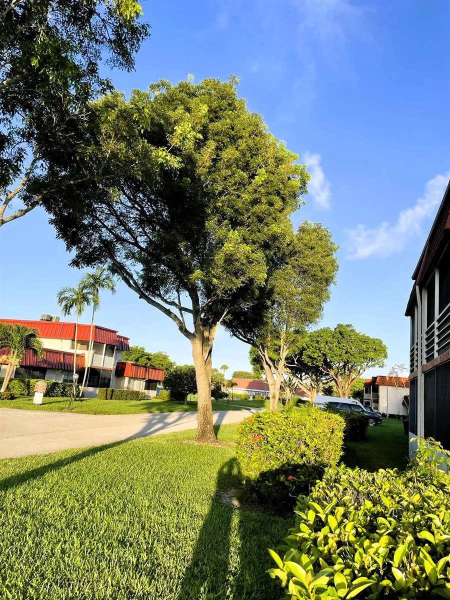 12011 Poinciana Boulevard S #202 Royal Palm Beach, FL 33411