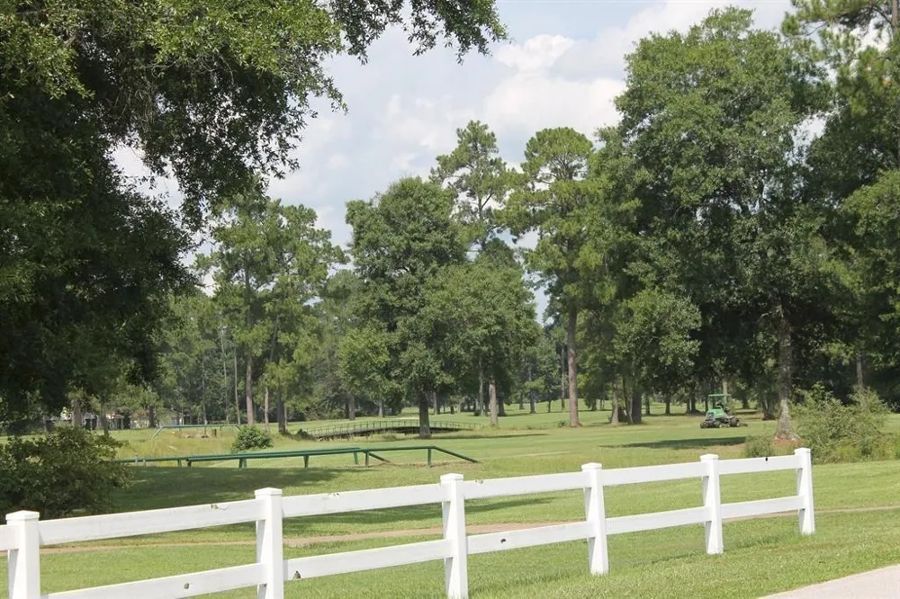 W Wildwood Drive Village Mills, TX 77663