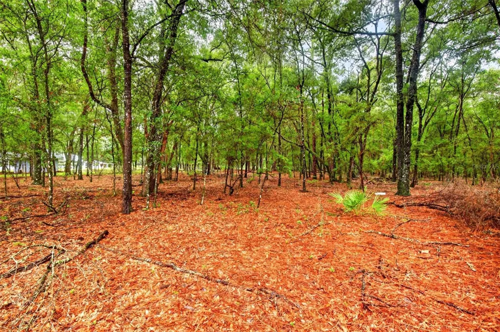7550 SW 185TH CIRCLE Dunnellon, FL 34432