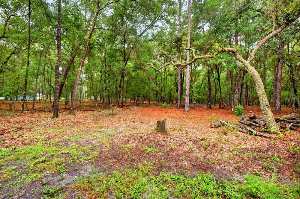7550 SW 185TH CIRCLE Dunnellon, FL 34432