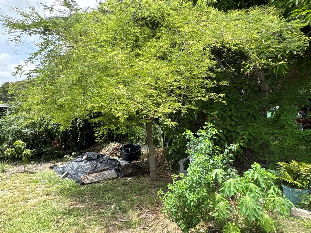 1001 Sunrise Boulevard Fort Pierce, FL 34950