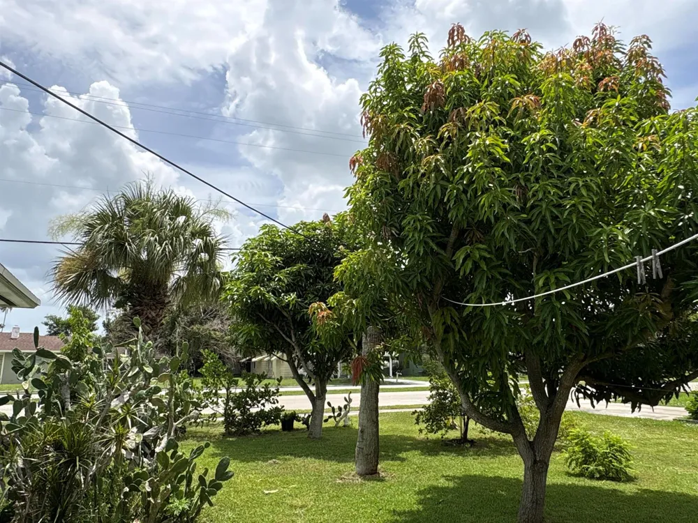 1001 Sunrise Boulevard Fort Pierce, FL 34950