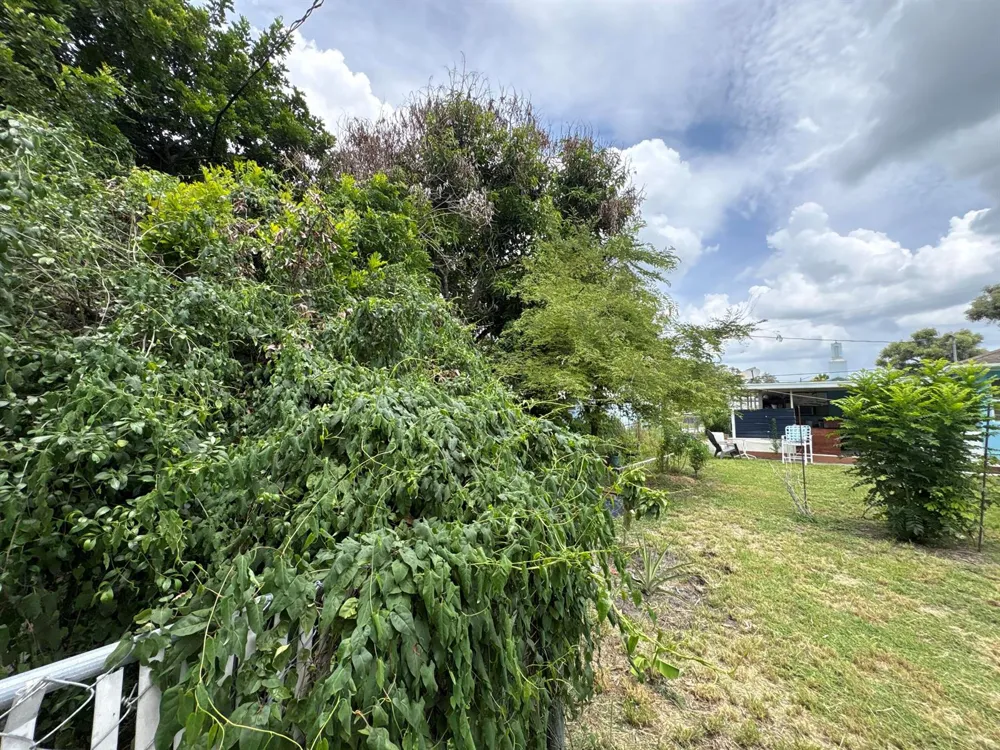 1001 Sunrise Boulevard Fort Pierce, FL 34950