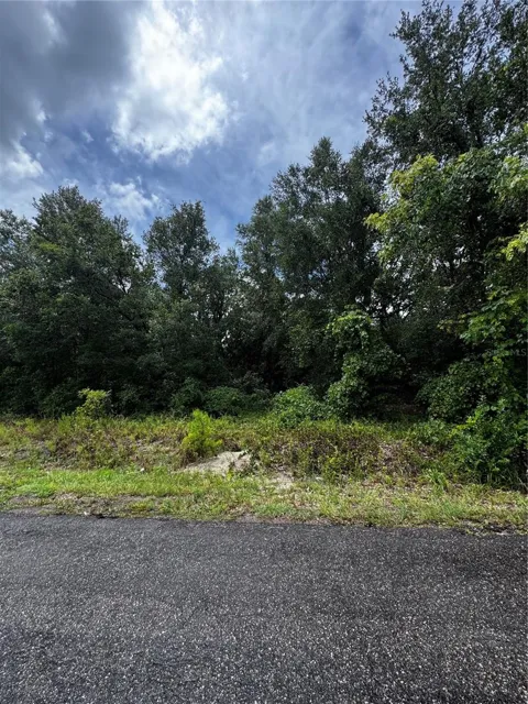 00 SE 115TH PLACE RD.