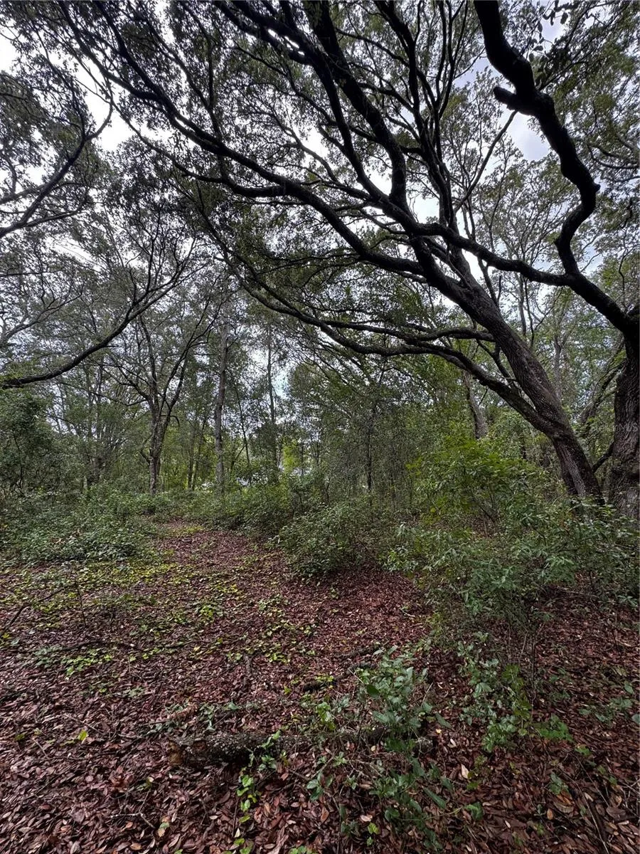 00 SE 115TH PLACE RD. Ocklawaha, FL 32179
