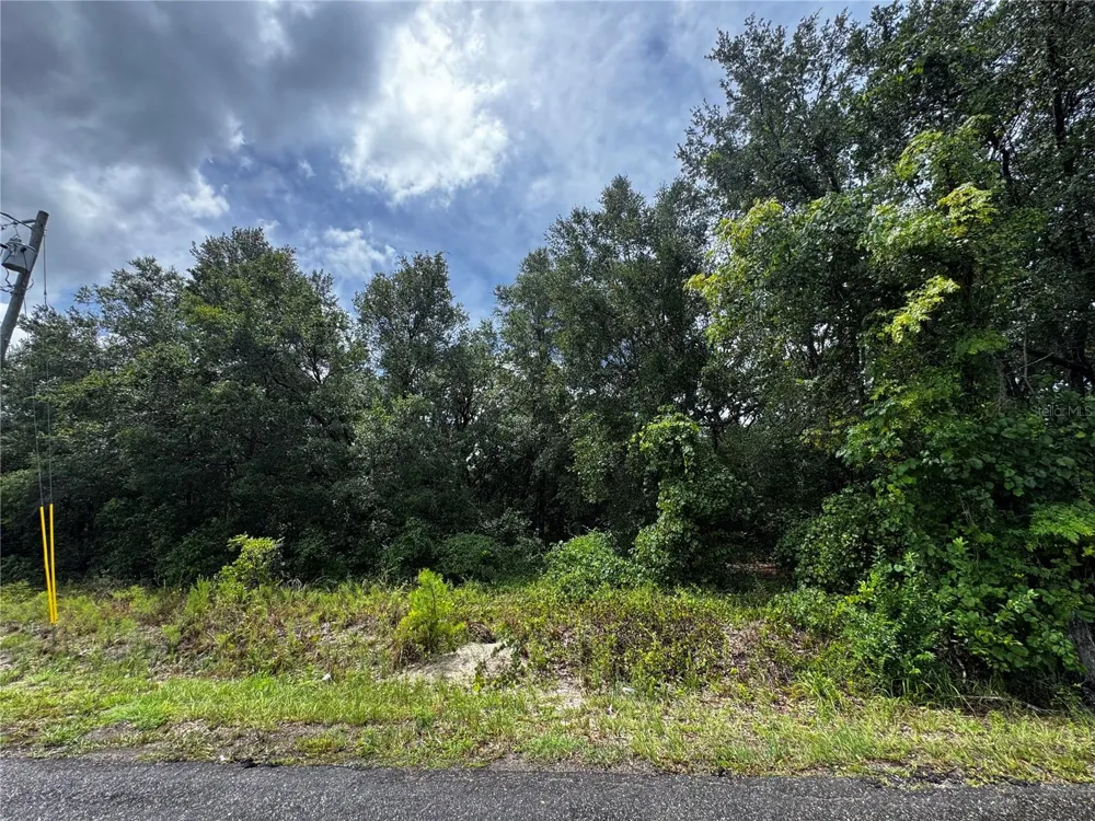00 SE 115TH PLACE RD. Ocklawaha, FL 32179
