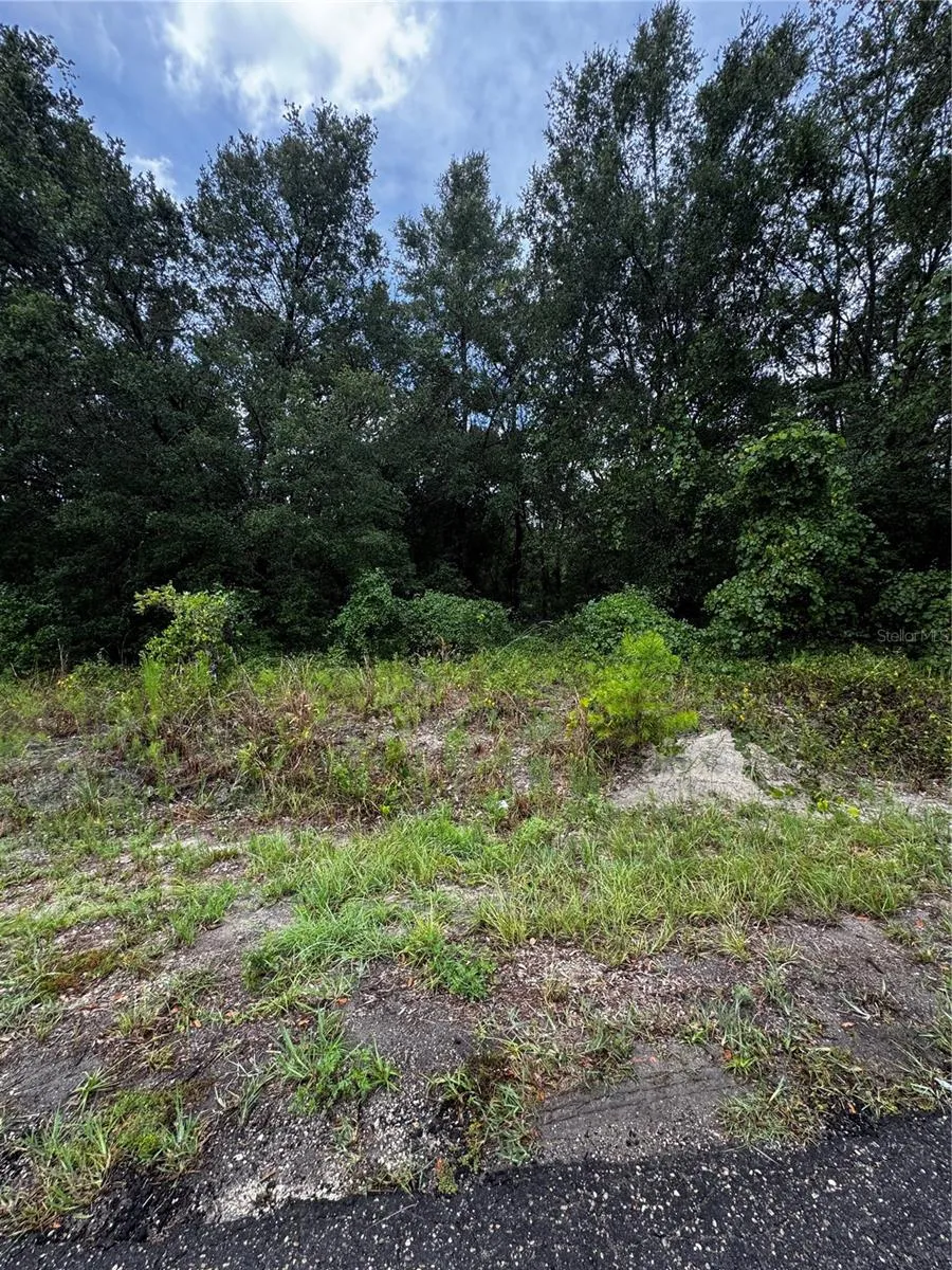 00 SE 115TH PLACE RD. Ocklawaha, FL 32179