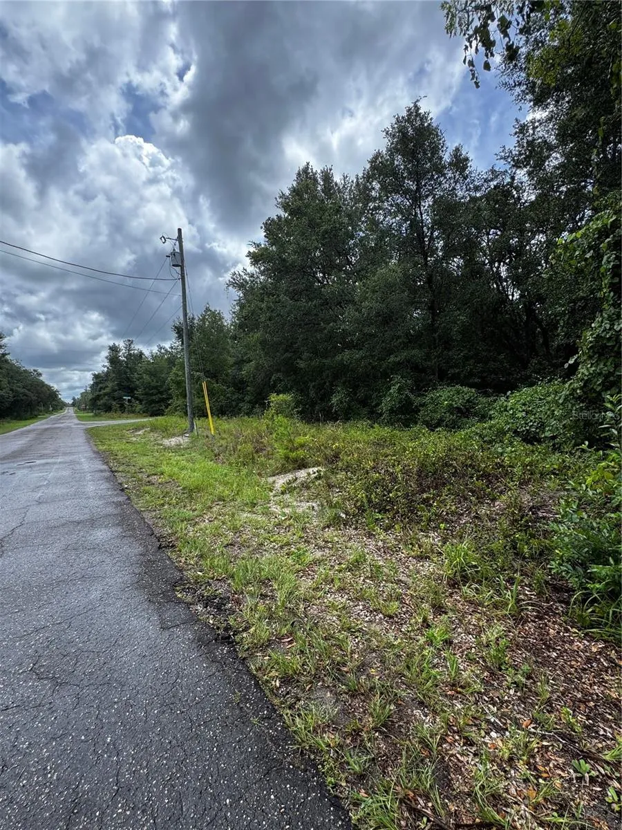 00 SE 115TH PLACE RD. Ocklawaha, FL 32179