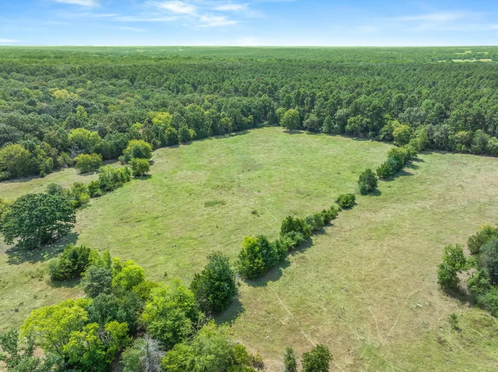 3183 Vz County Road 1712 Grand Saline, TX 75140