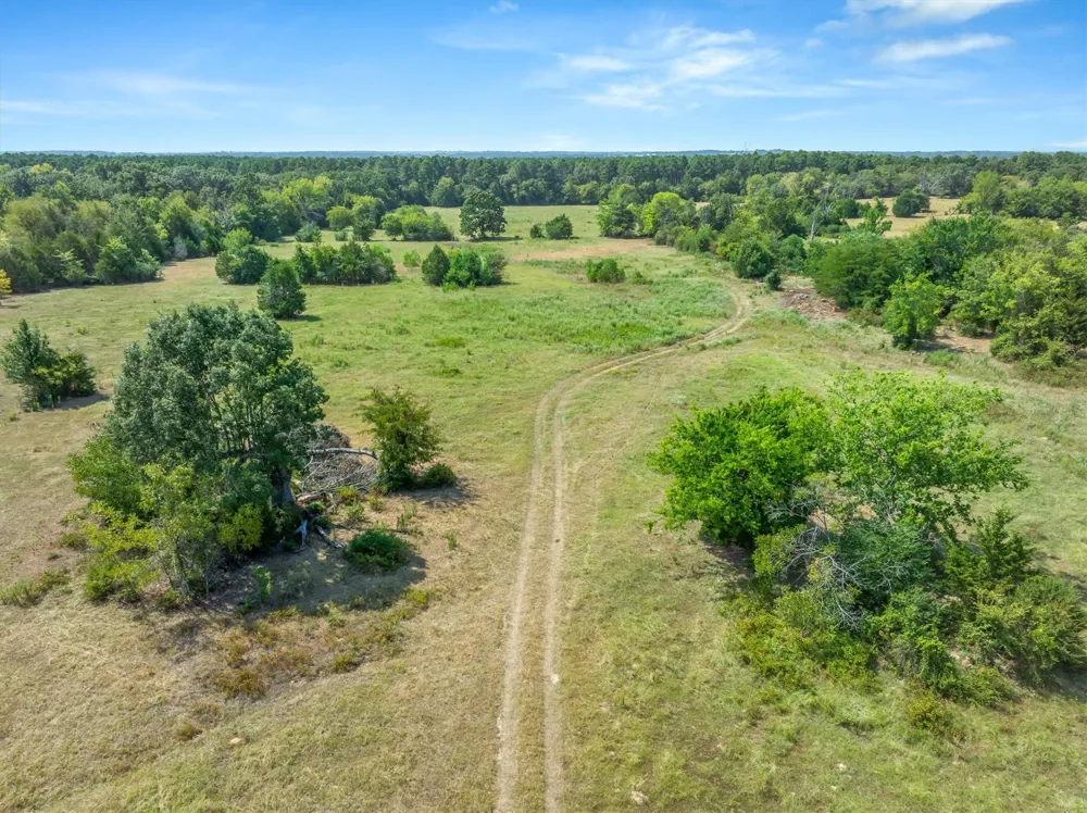 3183 Vz County Road 1712 Grand Saline, TX 75140