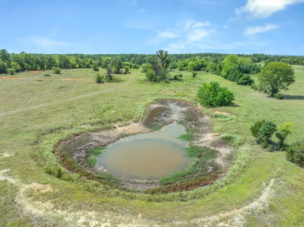 3183 Vz County Road 1712 Grand Saline, TX 75140