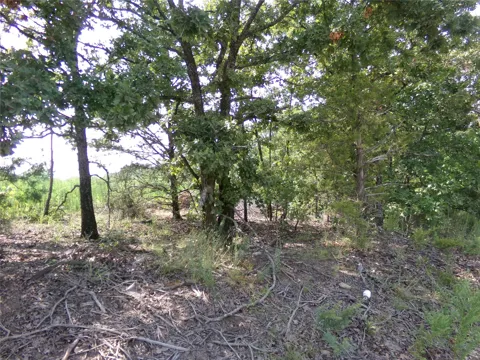 4230 ROAD