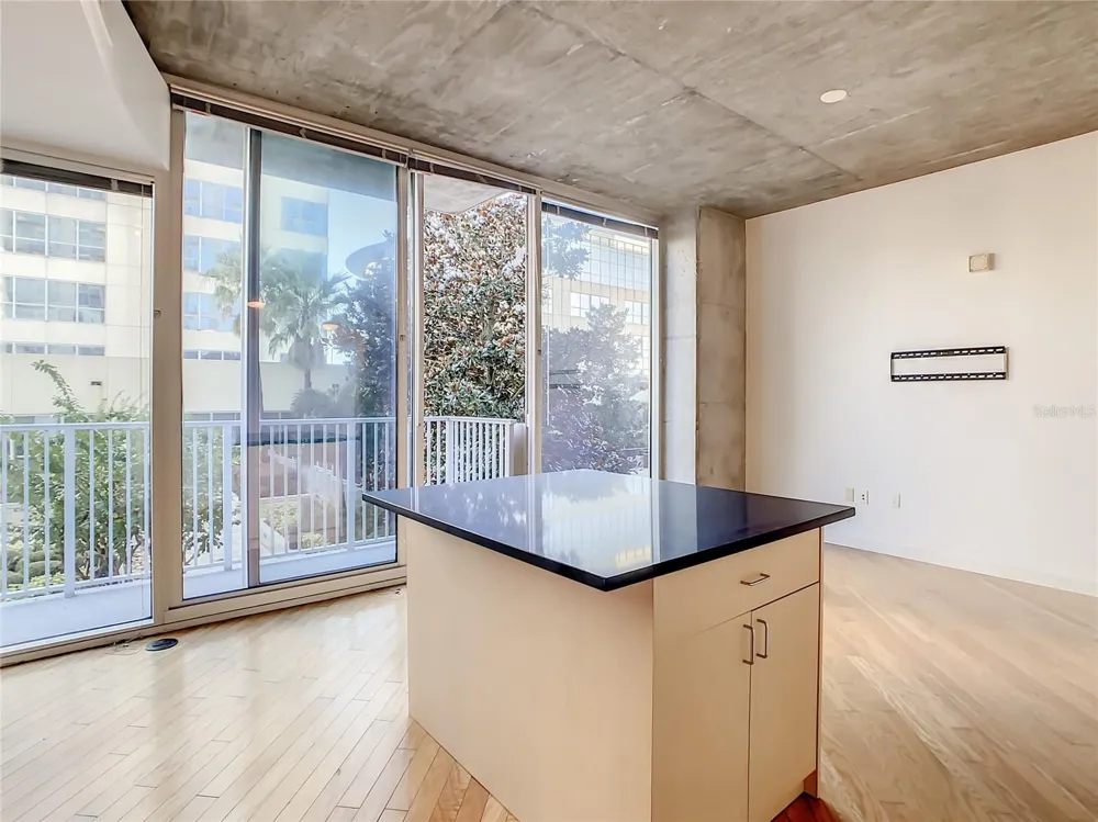 155 S COURT AVENUE #1106 Orlando, FL 32801