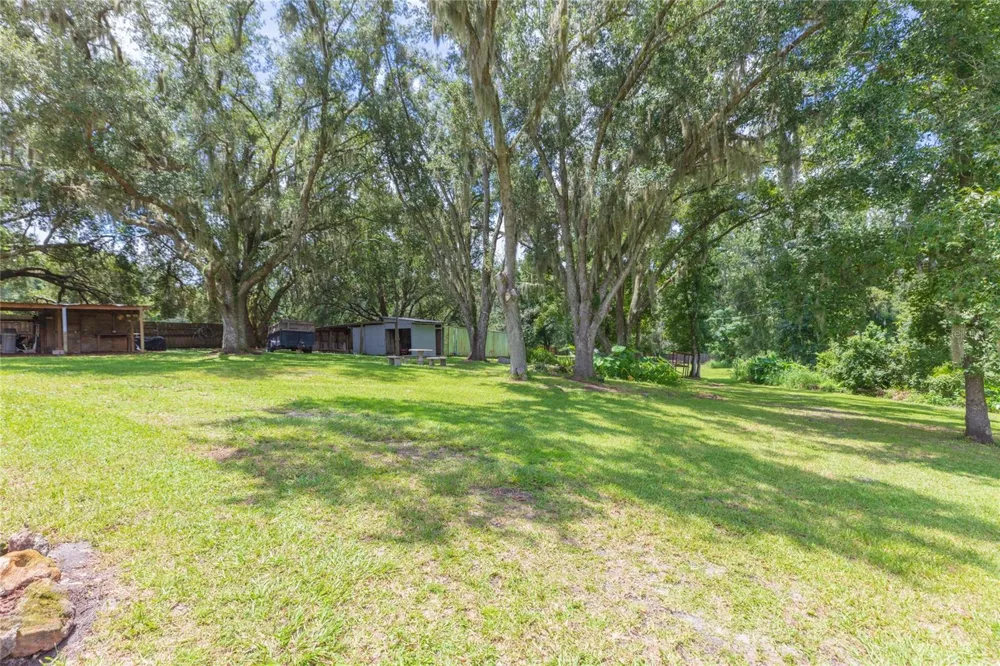 8719 HANDCART ROAD Wesley Chapel, FL 33545