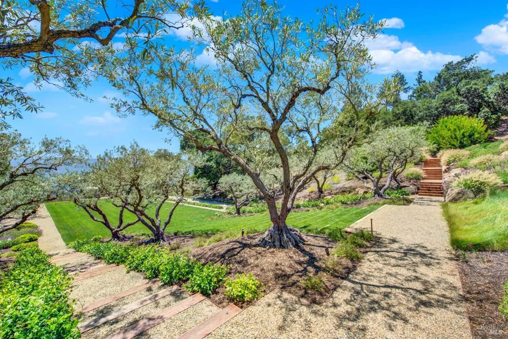 860 Meadowood Lane St. Helena, CA 94574