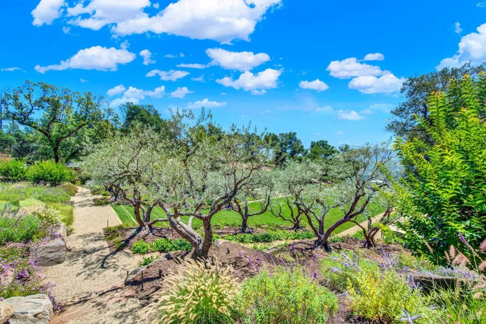 860 Meadowood Lane St. Helena, CA 94574