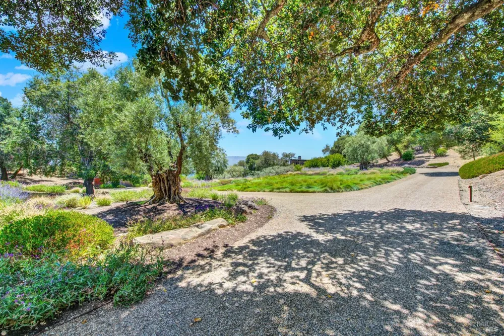 860 Meadowood Lane St. Helena, CA 94574