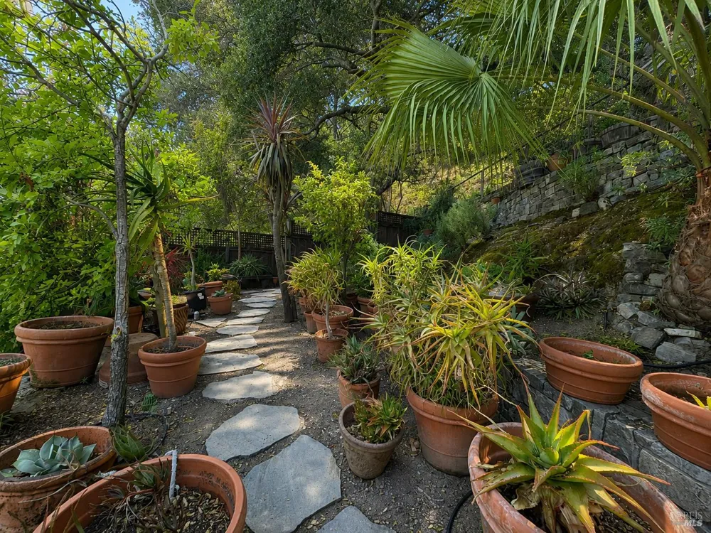 200 The Alameda San Anselmo, CA 94960