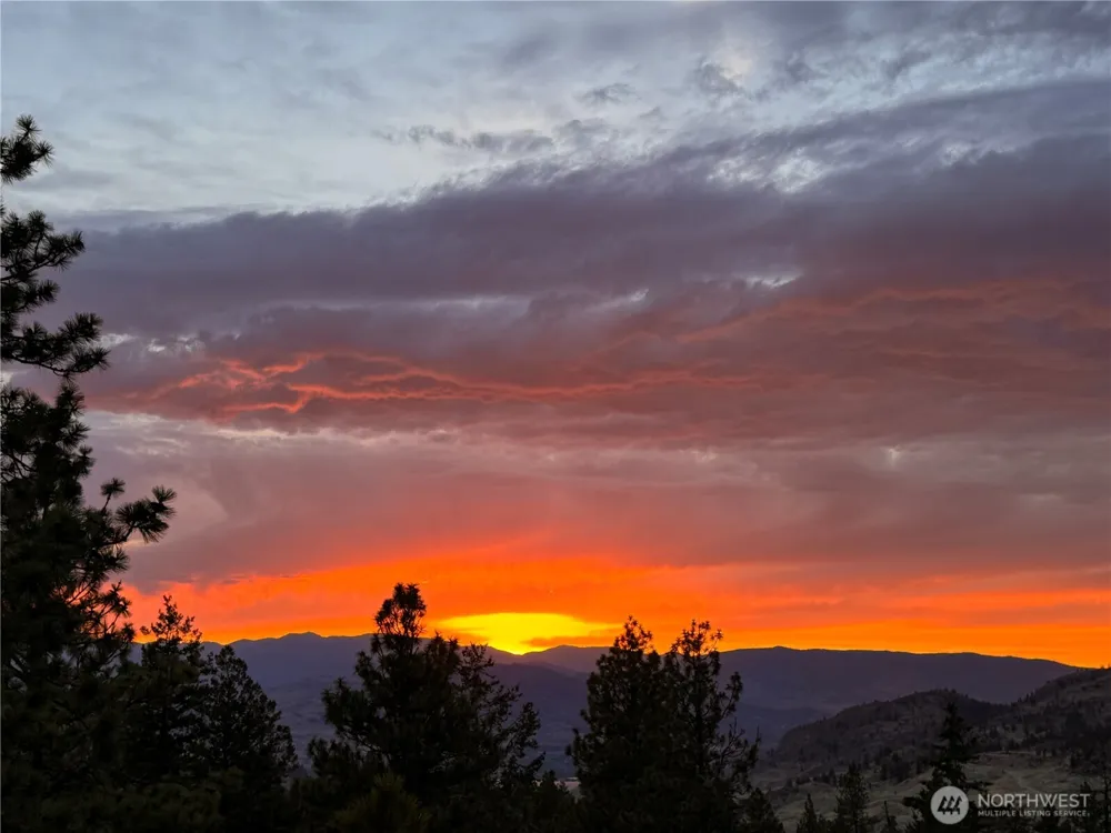 20 Homestead Spur Oroville, WA 98844