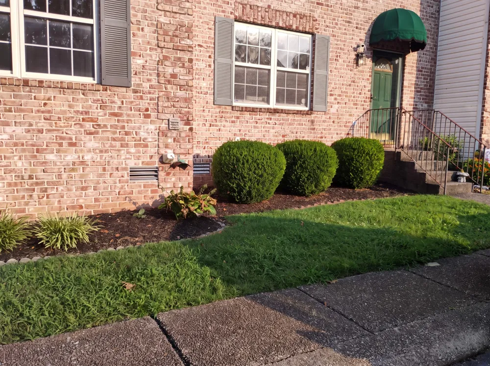 2950 Baby Ruth Ln #1 Antioch, TN 37013