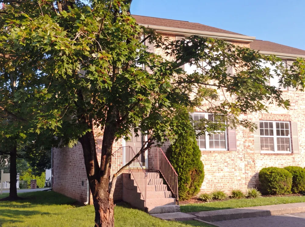 2950 Baby Ruth Ln #1 Antioch, TN 37013
