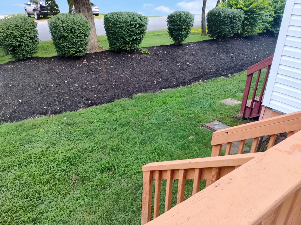 2950 Baby Ruth Ln #1 Antioch, TN 37013