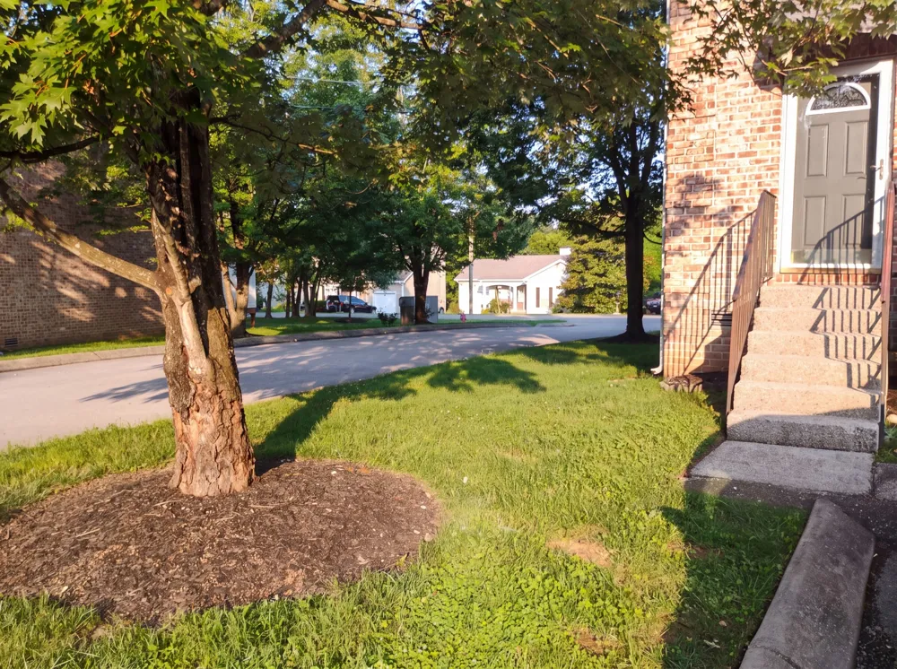 2950 Baby Ruth Ln #1 Antioch, TN 37013