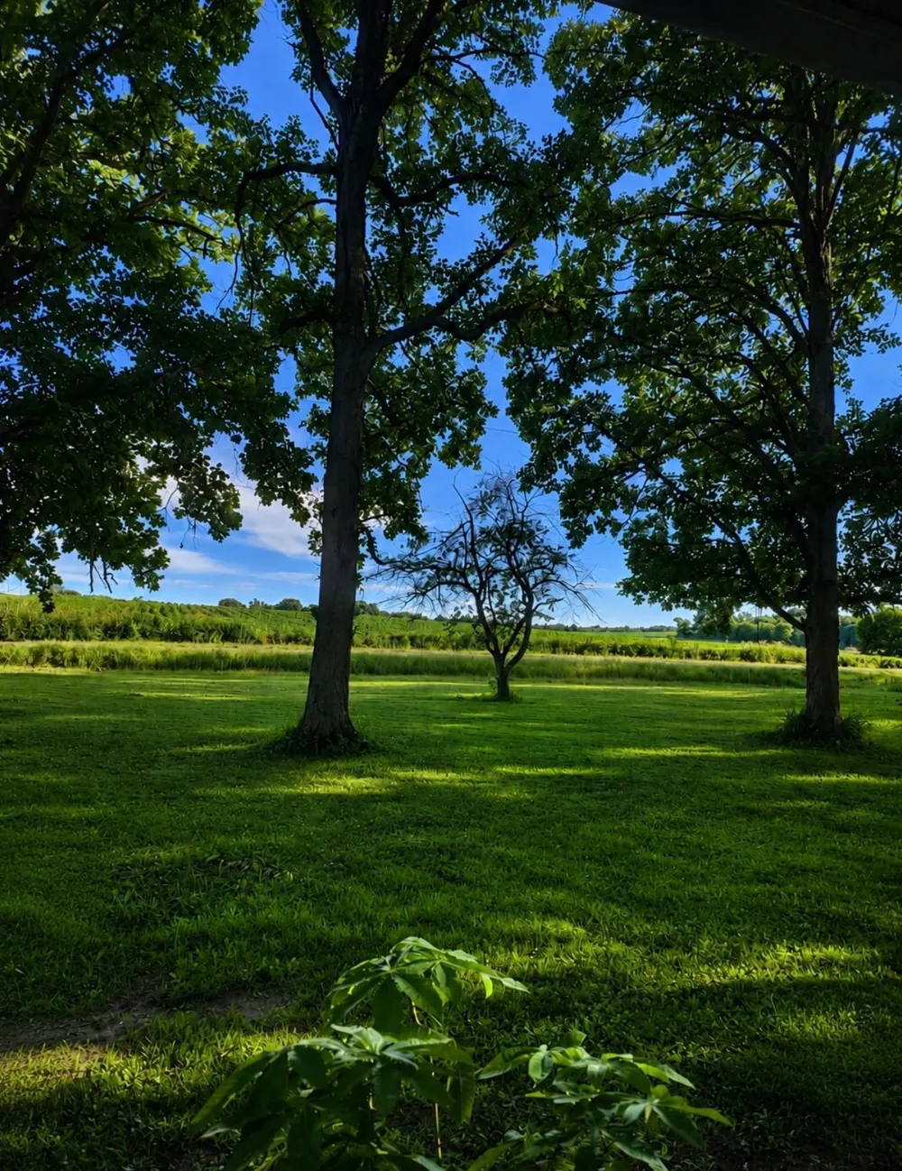 465 70th Avenue Clayton, WI 54004