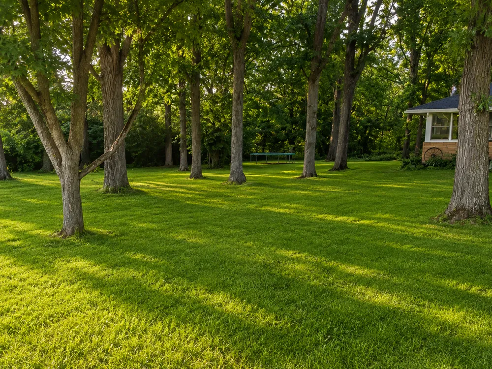 465 70th Avenue Clayton, WI 54004