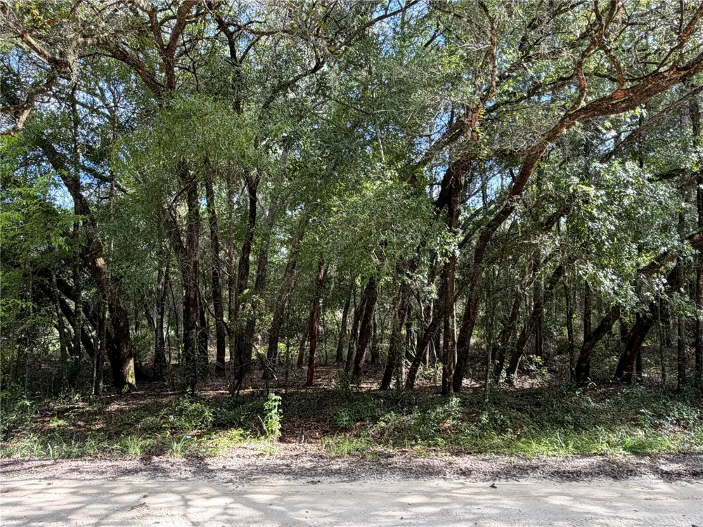 12640 SW 76TH LANE Dunnellon, FL 34432