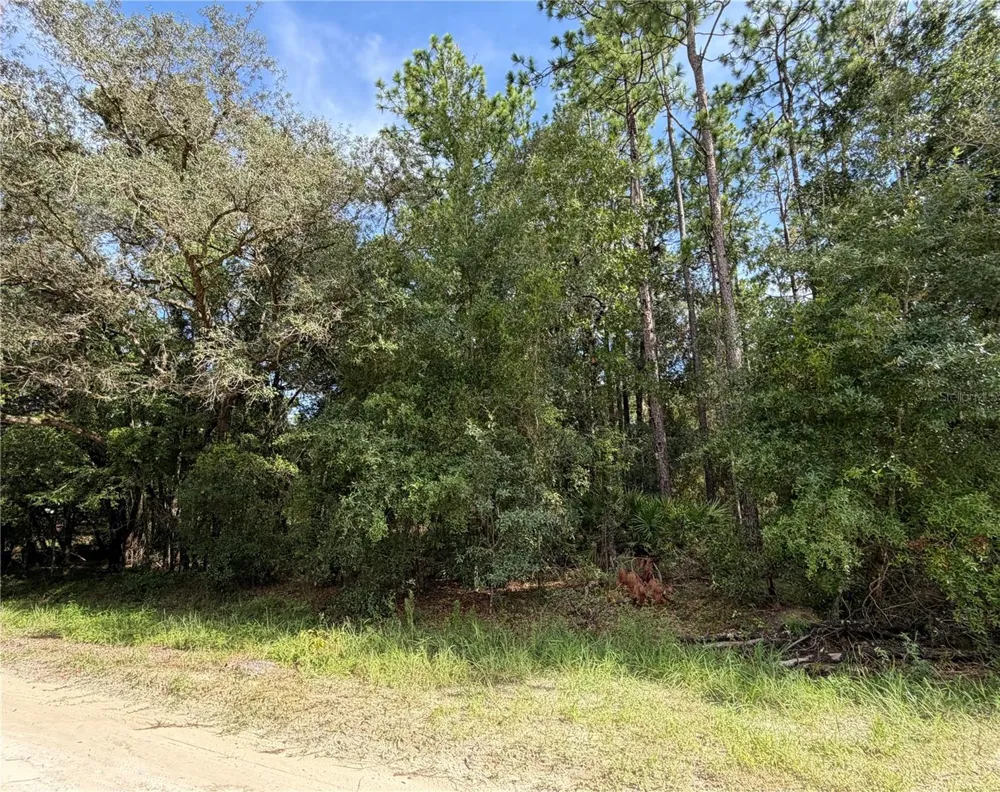 12640 SW 76TH LANE Dunnellon, FL 34432