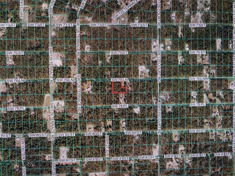 12640 SW 76TH LANE Dunnellon, FL 34432