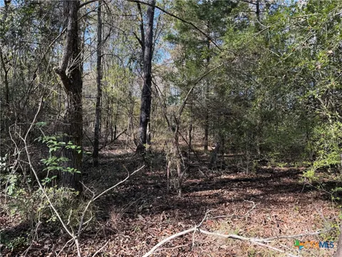 128 County Road 301 Tract 7