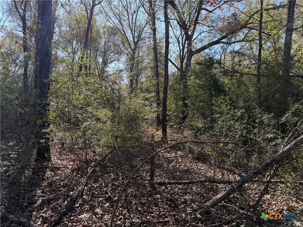 128 County Road 301 Tract 7 Fairfield, TX 75855
