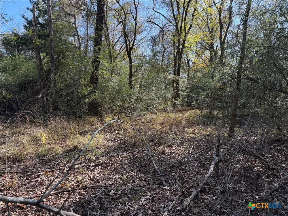 128 County Road 301 Tract 7 Fairfield, TX 75855