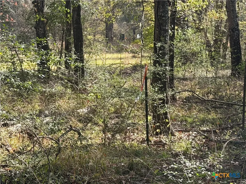 128 County Road 301 Tract 7 Fairfield, TX 75855